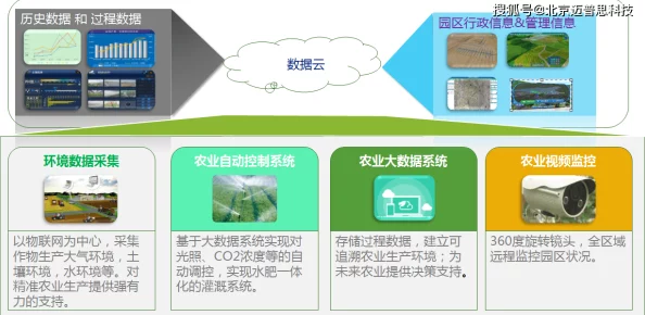 404黄台入口：探讨这一神秘地点的历史背景、文化意义及其在现代社会中的影响与价值