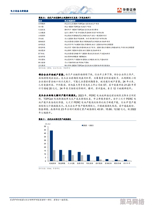 日本xxxxxxx69：最新动态揭示了该项目在技术创新和市场拓展方面的重大进展，未来发展前景广阔