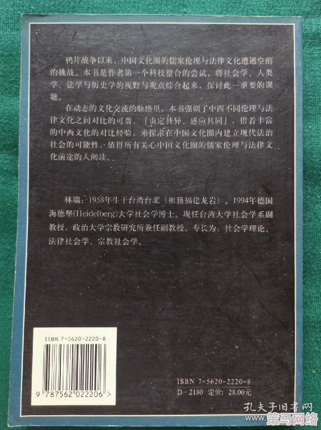 乱伦小说文学：探讨其在当代社会中的影响与争议，及其对文化和道德观念的挑战与反思