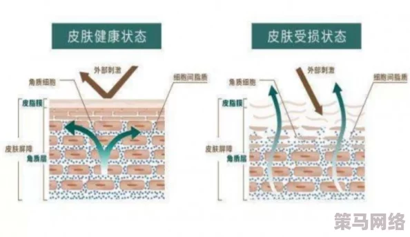 全面解析：我的起源游戏中雨麦的高效种植方法与技巧详解